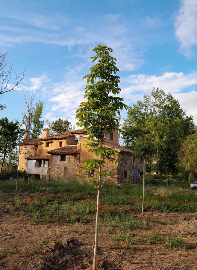 Molino Del Buho Guest House Torre la Carcel Bagian luar foto